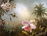 Orchids Nesting Hummingbirds and a Butterfly by Martin Johnson Heade